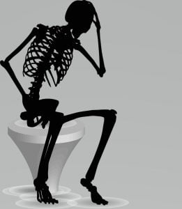 Skeleton