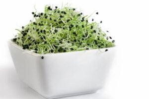 Brocolli Sprouts