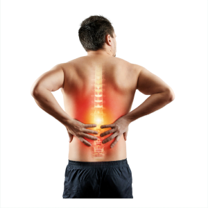 Back Pain Exercises At Home